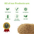 Spice Magic Whole Spices ~ 100% Pure, Aromatic & Natural, Gluten-Free, Non-GMO, Indian Origin, Ajwain Seeds
