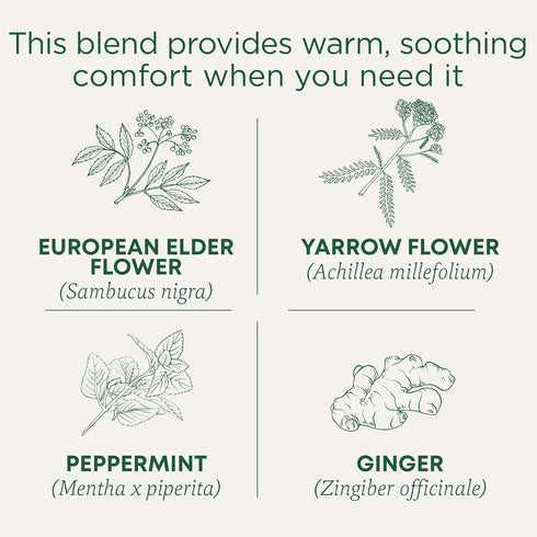 96 (6 Pack) Traditional Medicinals Tea, Herbal Cold Care Seasonal Tea with Elderflower Spice, Kosher, Non-GMO