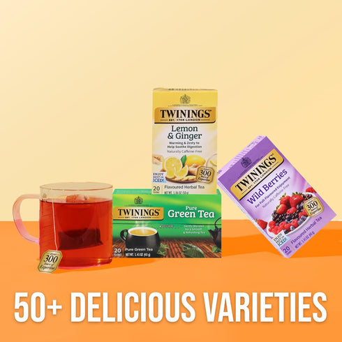 20 Count (Pack 6), 120 Twinings Wild Berries Herbal Tea Individually Wrapped Bags, of Full-Flavoured, Naturally