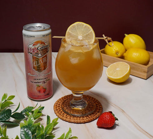 12oz 6 Pack High Ground Elixir Mushroom Seltzer Strawberry Peach | Lions Mane for Focus, Reishi for Stress, Cordyceps