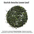 SUGIMOTO TEA Japanese Sencha Green Tea Loose Leaf, 3.5 oz (100 g), Pack of 1