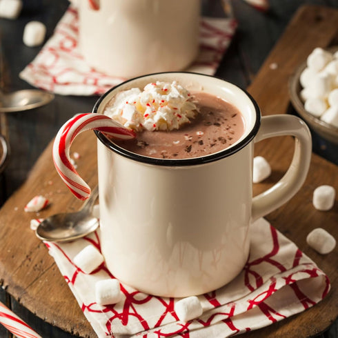 STEPHEN'S 4 lb Stephens Gourmet Candy Cane Hot Cocoa Mix Milk Chocolate Cocoa with Real Peppermint Candy Cane, Canister
