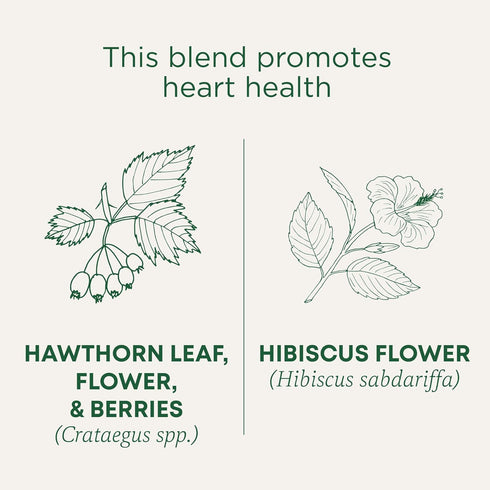 96 (6 Pack) Traditional Medicinals Tea, Organic Hawthorn & Hibiscus, Promotes Heart Health, Tea Bags