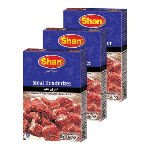 Shan - Natural Meat Tenderizer Powder - Papaya Based Seasoning Mix, 1.4