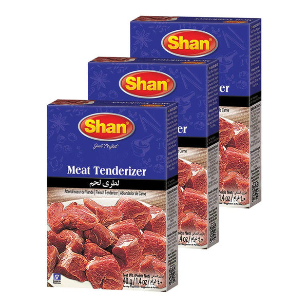 Shan - Natural Meat Tenderizer Powder - Papaya Based Seasoning Mix, 1.4