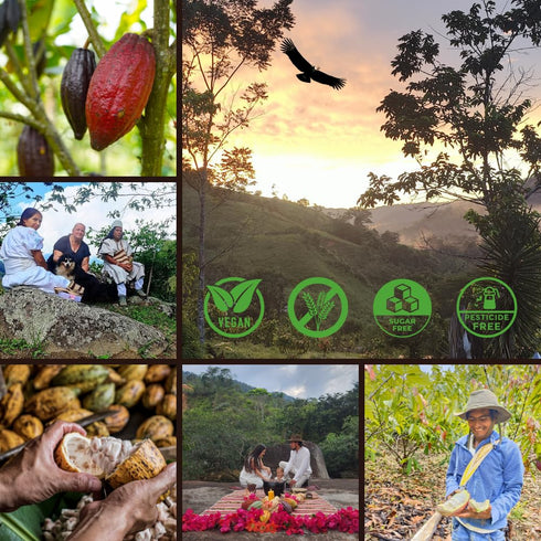 100% 8 oz Origen Cacao Husk Tea Natural Cacao Shell Zero Sugar, Caffeine-Free Superfood Healthy Chocolate Tea