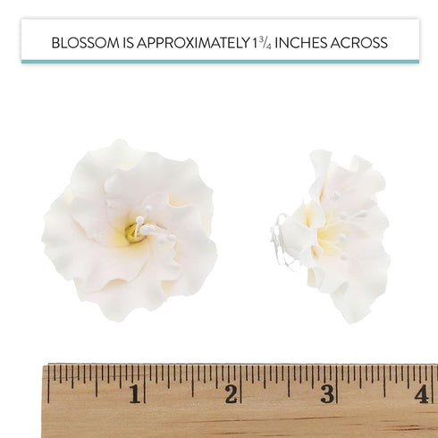 1.75 Inch 10 Count Global Sugar Art Azalea Sugar Cake Flowers White with Wire and Stamen, by Chef Alan Tetreault