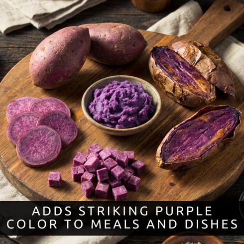 (2 Purple Japanese sweet potato SLIPS) Also known as Hawaiian Purple Sweet Potato