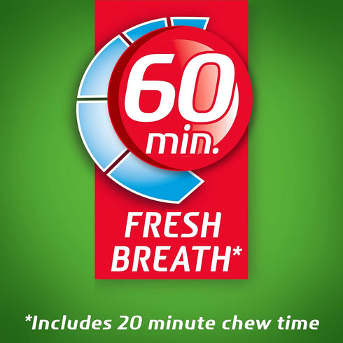 Dentyne Ice Spearmint Sugar-Free Chewing Gum, 9 Packs of 16 Pieces (144 Total)