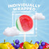 2 Pack (80 Count) Fruit Lollipops - Pound Bulk - Assorted Fruit Flavored Hard Candy - Hard Candy Individually Wrapped