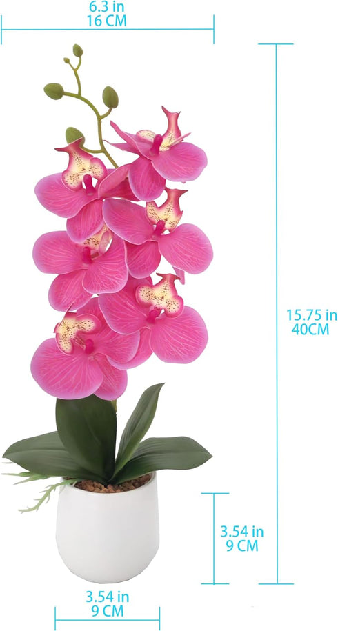 16" Summer Ashland Pink Orchid in Ceramic Pot, Home Decor