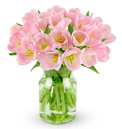Benchmark Bouquets Pink Tulips Mothers Day Flowers for Mom Fresh Flowers for