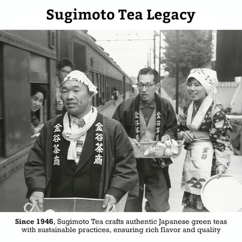 SUGIMOTO TEA Japanese Organic Matcha Genmaicha Tea Bags, 12 Count Pack