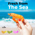 5 Lb Fusion Select Uncooked Prawn Crackers - Multi-Colored Shrimp Chips for Sharing, Serving Snack Platters at Parties