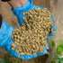 5 Fresh Roasted Coffee, Unroasted Ethiopian Yirgacheffe Kochere, Kosher, Pound