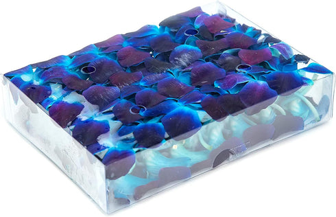 Collection by Tiffany Fresh Dendrobium Orchid Heads Blooms (50 Pieces/Box) - Blue Tinted Sonnia