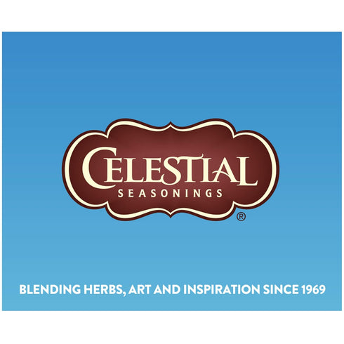Celestial Seasonings Cold Brew Half & Half Iced Tea Bags - 18 Tea Bags