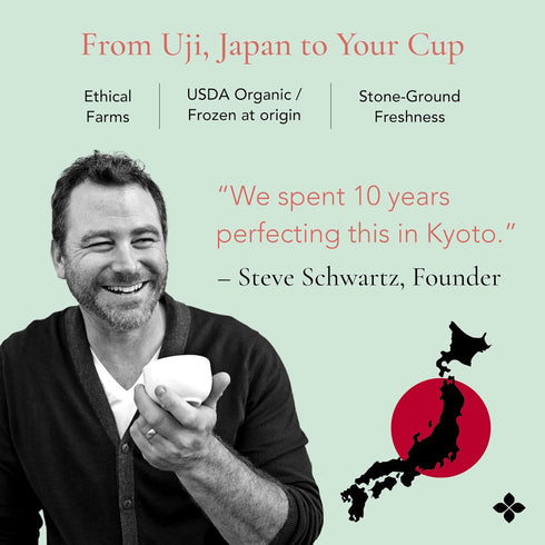 Art of Tea | Matcha Powder Tea | Matchasticks 12 Count