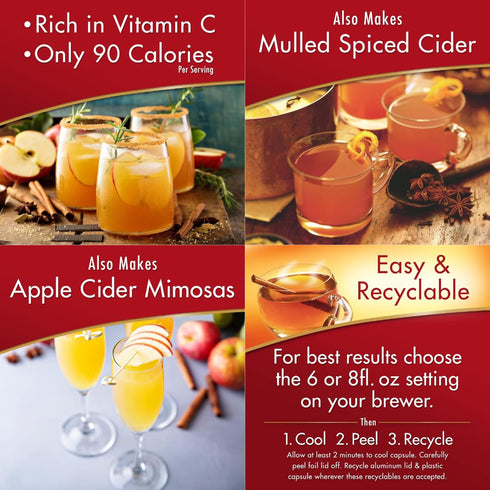 (48 0.74 OZ Lyfno Alpine Spiced Apple Cider Original Pouches) Each - Alpine Apple Cider ( Trademark Spoon Included)