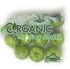 Washington Fruit & Produce Co. Organic Apple Granny Smith, 48 Ounce
