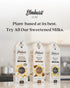 1925 32 (Pack 6) Elmhurst Sweetened Cashew Milk - Ounce of Dairy-Free, Vegan, Kosher, Gluten-Free, Shelf Stable Plant