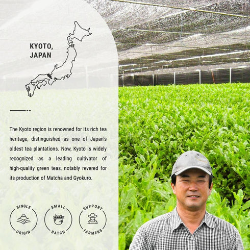 (3.5oz/100g) Senbird Premium Sencha With Matcha - Japanese Green Tea With Matcha - From Kyoto, Japan - Loose Leaf Tea