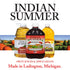 Summer Packed 4 4 Indian Single Serve Cinnamon Apple Sauce, Individually Applesauces, Single Cups, Ounces Each