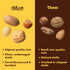 3 lb Nuts.com Mixed Nuts in Shell, No Brazil Nuts - Bag, Natural, Includes Walnuts, Hazelnuts, Pecans, Almonds