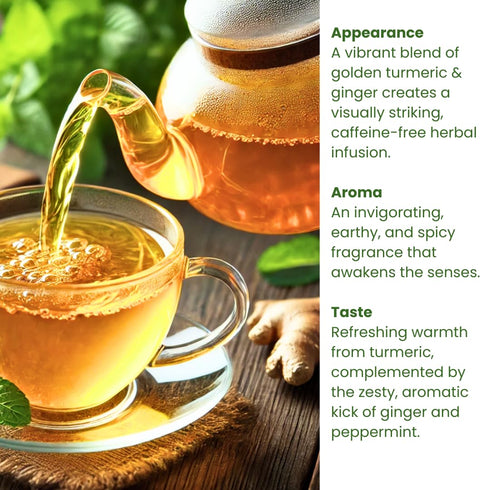(60 Bags/120 Cups) Rachels Tea: Turmeric, Wild Yam, Ginger, Marshmallow, Chamomile, Peppermint, Fennel Slippery Elm