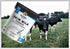 Medallion 500g (2 Skim Milk Powder Bags)