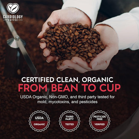 12oz Cardiology Coffee Whole Bean Coffee USDA Certified Organic, Mold Free Premium Medium Roast Organic Coffee Beans
