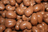 Bayside Candy Milk Chocolate Collection Milk Chocolate Cashews (1.5LBS)
