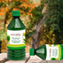 Amla-Aloevera 500ml 16.90 oz (Pack 2) Patanjali Juice with Wheatgrass Juice / fl