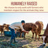 Wellshire Farms 8oz Uncured Smoked Beef Bacon Made from Pasture-Raised Beef with No Antibiotics or Added Hormones, Bold