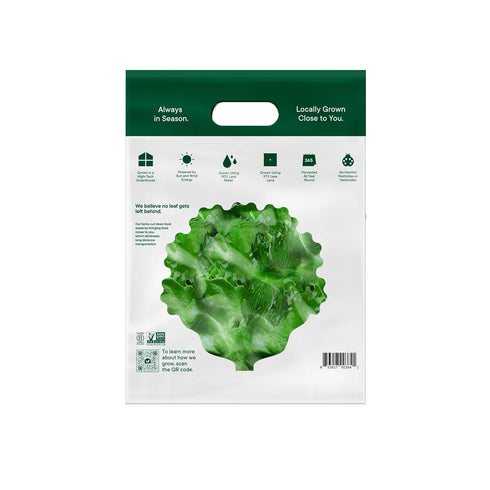 10 OZ GOTHAM GREENS Greenhouse Blend Salad