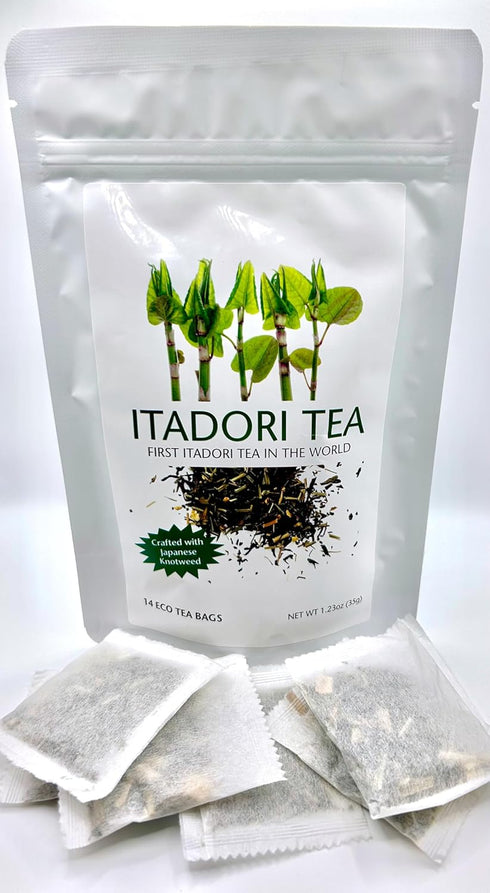 Itadori Tea Immune 14 - Organic Black Tea With Japanese Knotweed For Resveratrol & Support, Antioxidant-Rich