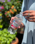 Hal's New York 20 Oz (Pack 24) Seltzer Water, Fruit Punch Sparkling Water, Fl Bottle