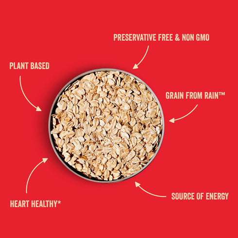 (11.3oz) Stoked Oats - Mountain Maple High Protein, Low Sugar Breakfast - Gluten Free, High Fiber, Non GMO Oatmeal