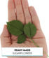 3 120 Count Global Sugar Art Rose Leaf Dark Green Sugar Cake Flower, Sizes, by Chef Alan Tetreault