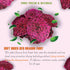 5.29 Oz (150g) SOFT DRIED RED DRAGON FRUIT VIETFARMFOOD: Convection dried fruit, pure natural sweetness without sugar