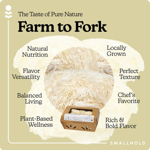 Smallhold 8oz Fresh Organic Lions Mane Mushroom | Locally Grown Gourmet Mushroom | Ready to Cook, Nutrient-Dense