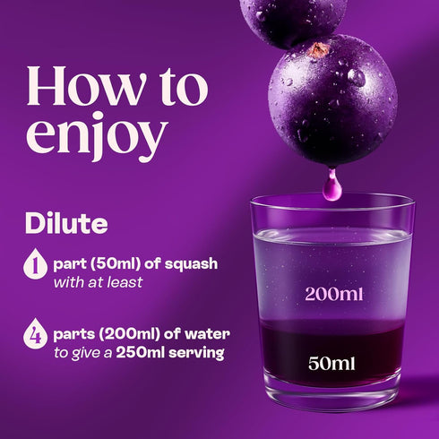 Ribena 28.74 Blackcurrant Concentrate, Fluid Ounce