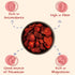 18 Sunny Fruit Soft-Dried Strawberries, Ounce Bulk Bag | Dried Fruit with Added Sugar | Great Berries for Baking
