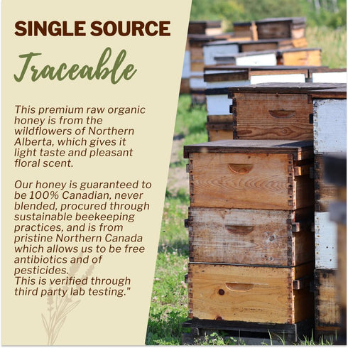 100% 17.6 Oz/1.1 Lbs, Oneroot Organic Canadian Wildflower Honey - Unheated & Creamed - Nutrient-Rich, Natural Sweetener