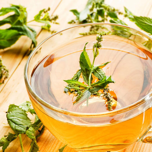 Unpretentious Peppermint Leaf, 8 oz Cut & Sifted, Refreshing for Cooking & Baking
