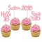 Gyufise 24Pcs Happy 16th Birthday Cupcake Toppers Glitter Hello 16 Sweet 16