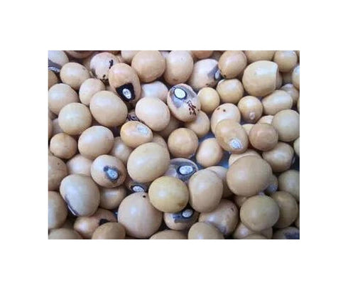 Generic 2.5LB 2 PACKS 100% Okpa Flour | | Natural ground Okpa Nuts | Bambara nuts | Bambara bean | Congo goober | Earth