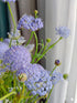 18 Fresh Cut Green Hypericum Berries - Stems
