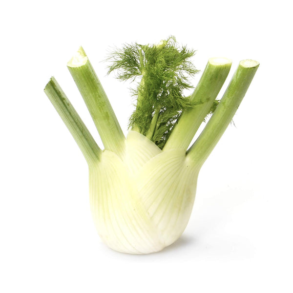 Fresh Produce Organic Fennel, 1 Each