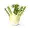Fresh Produce Organic Fennel, 1 Each